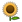 LG_Emoji_sunflower_833b_mysmiley.net.png